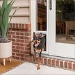 Show in main carousel: PetSafe Sliding Glass Dog & Cat Door, Medium slide 1 of 11