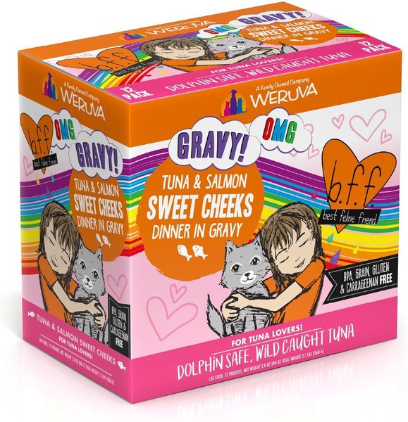 What is the best grain free wet hotsell cat food