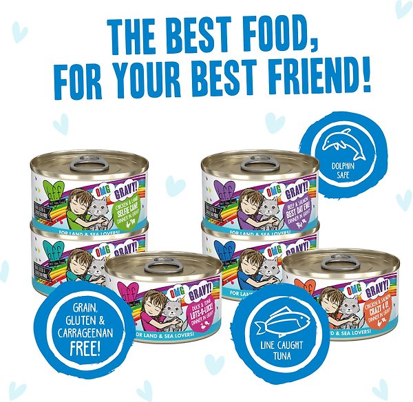 Show full view: BFF OMG Best Feline Friend Oh My Gravy! Rainbow Road Variety Pack Grain-Free Wet Cat Food, 2.8-oz can, case of 12 slide 5 of 8