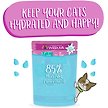 Show in main carousel: Weruva Cats in the Kitchen Cat to The Future Chicken & Salmon Pate Grain-Free Wet Cat Food, 3-oz pouch, case of 12 slide 5 of 10