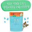 Show in main carousel: Weruva Cats in the Kitchen The Breakfast Cat Chicken & Pumpkin Pate Grain-Free Wet Cat Food, 3-oz pouch, case of 12 slide 5 of 10