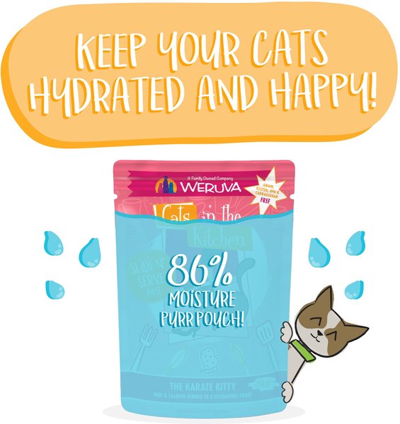 Show full view: Weruva Cats in the Kitchen The Karate Kitty Beef & Salmon Pate Wet Cat Food, 3-oz pouch, case of 12 slide 5 of 10