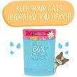 Show in main carousel: Weruva Cats in the Kitchen The Karate Kitty Beef & Salmon Pate Wet Cat Food, 3-oz pouch, case of 12 slide 5 of 10