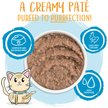 Show in main carousel: Weruva Slide N' Serve Jeopurrdy Licious Chicken Dinner Pate Grain-Free Wet Cat Food, 2.8-oz pouch, case of 12 slide 3 of 10