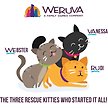 Show in main carousel: Weruva Slide N' Serve The Showcase Chowdown Slide N' Serve Variety Pack Pate Grain-Free Wet Cat Food, 2.8-oz pouch, case of 16 slide 6 of 10