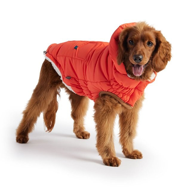 GF Pet Elasto-Fit Super Puff Parka Dog Coat, Orange, X-Small | Chewy Canada