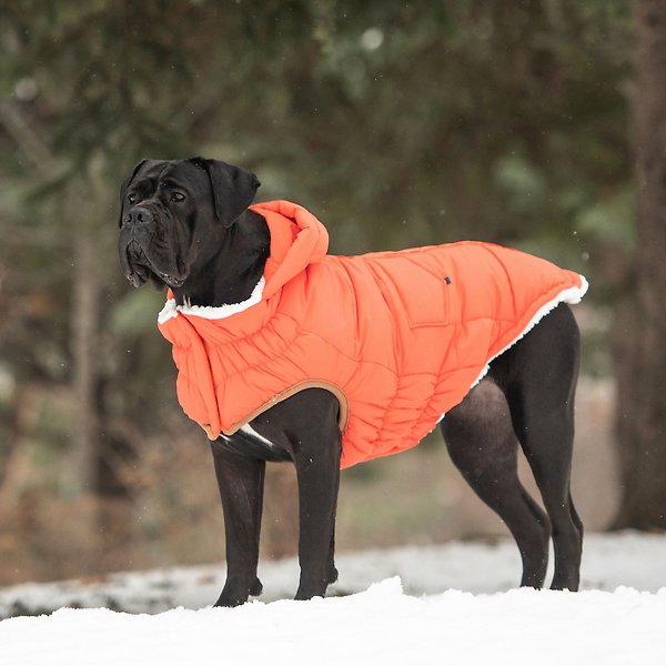 Show full view: GF Pet Elasto-Fit Super Puff Parka Dog Coat, Orange, XX-Large slide 6 of 8