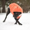 Show in main carousel: GF Pet Elasto-Fit Super Puff Parka Dog Coat, Orange, XX-Large slide 7 of 8