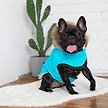 Show in main carousel: GF Pet Elasto-Fit Winter Sailor Parka Dog Coat, Aqua, Large slide 7 of 9