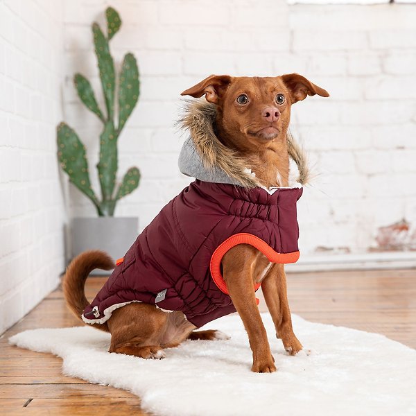 Show full view: GF Pet Elasto-Fit Winter Sailor Parka Dog Coat, Burgundy, X-Large slide 5 of 7