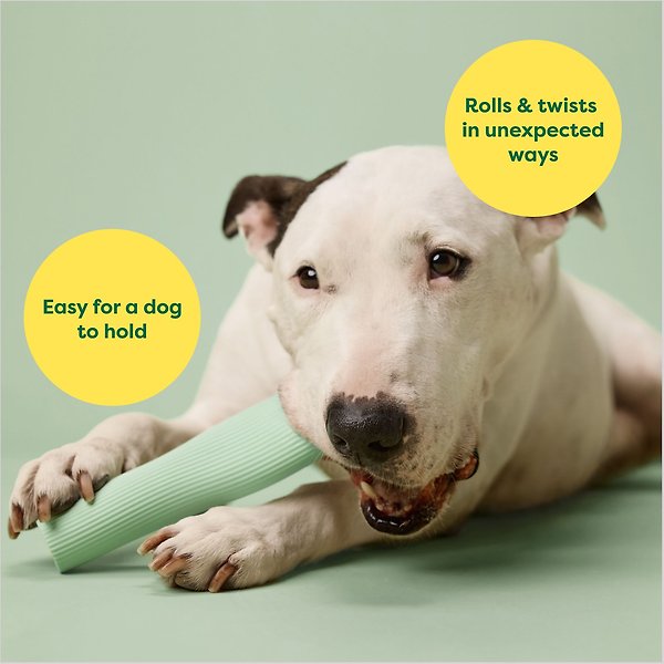 Show full view: Earth Rated Chew Dog Toy, Large slide 4 of 9