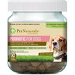 Show in main carousel: Pet Naturals of Vermont FoodScience Probiotic Chews Supplement for Dogs, 90 count slide 1 of 4