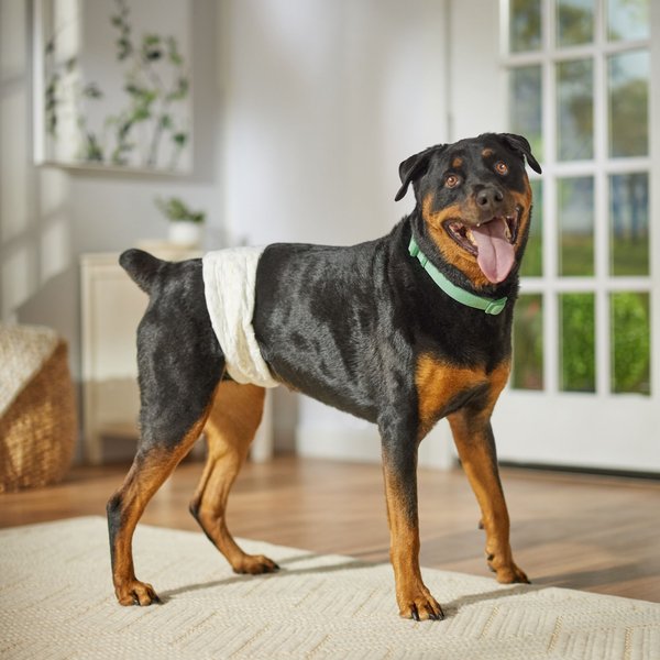 Show full view: Frisco Disposable Male Dog Wraps, X-Large, 12 count slide 6 of 9