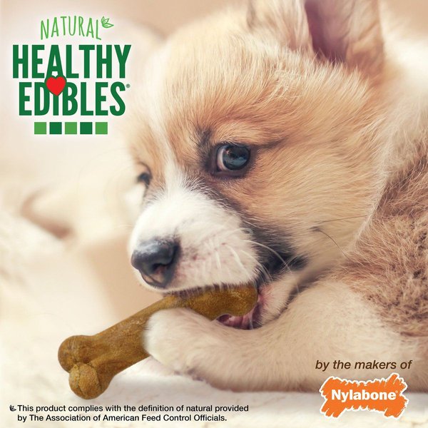 Show full view: Nylabone Healthy Edibles Puppy Lamb & Apple Dog Treats, 8 count slide 6 of 8
