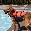 Show in main carousel: Outward Hound Granby Splash Dog Life Jacket, Orange, X-Small slide 5 of 10