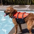 Show in main carousel: Outward Hound Granby Splash Dog Life Jacket, Orange, Small slide 5 of 10