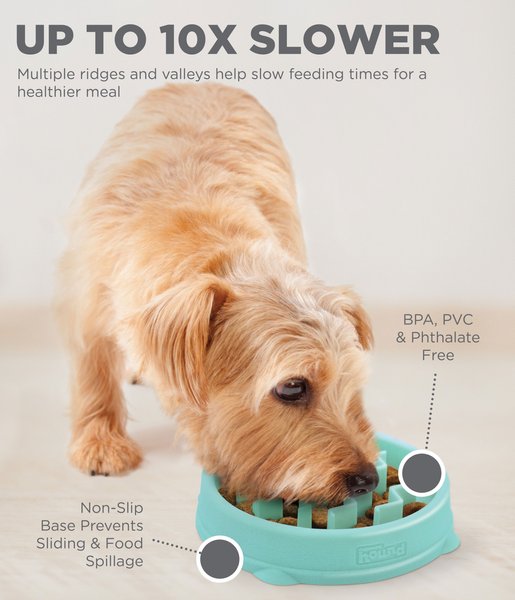 Show full view: Outward Hound Fun Slow Dog Feeder, Mint, 0.75-cup slide 3 of 8