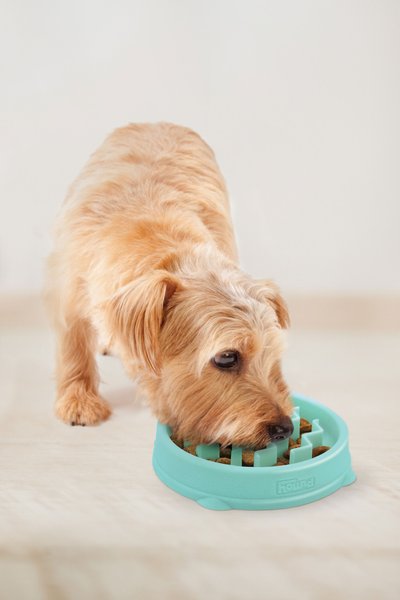 Show full view: Outward Hound Fun Slow Dog Feeder, Mint, 0.75-cup slide 6 of 8