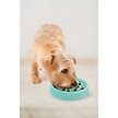 Show in main carousel: Outward Hound Fun Slow Dog Feeder, Mint, 0.75-cup slide 6 of 8
