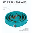 Show in main carousel: Outward Hound Fun Slow Dog Feeder, Turquoise, 4-cup slide 3 of 7