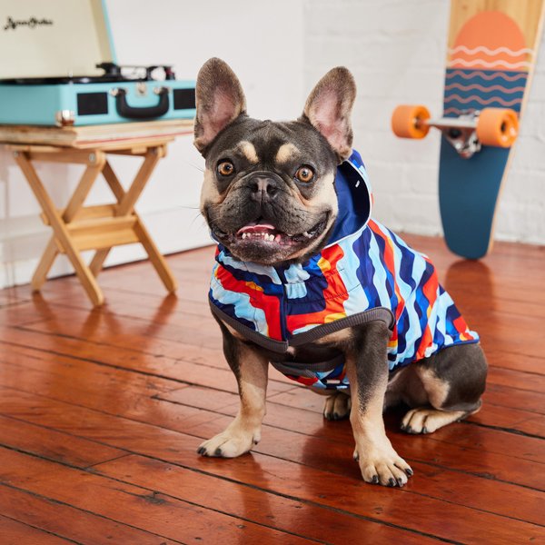 Show full view: GF Pet Elasto-Fit Reversible Dog & Cat Raincoat, Navy, XX-Small slide 7 of 9