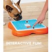 Show in main carousel: Nina Ottosson by Outward Hound Challenge Slider Interactive Treat Puzzle Dog Toy slide 2 of 9