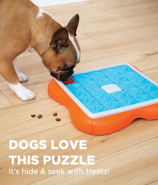 Show full view: Nina Ottosson by Outward Hound Challenge Slider Interactive Treat Puzzle Dog Toy slide 4 of 9