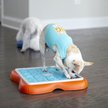 Show in main carousel: Nina Ottosson by Outward Hound Challenge Slider Interactive Treat Puzzle Dog Toy slide 7 of 9