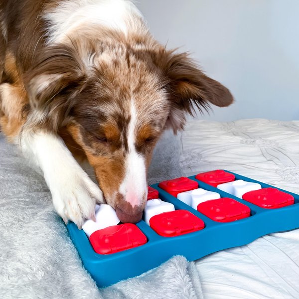 Show full view: Nina Ottosson by Outward Hound Brick Interactive Treat Puzzle Dog Toy slide 6 of 10