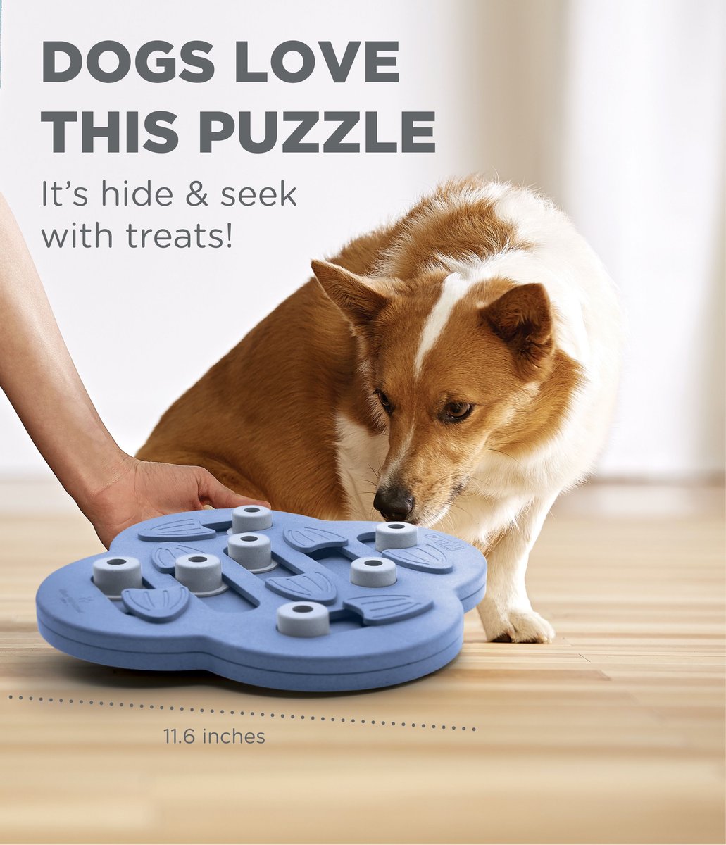 Outward Hound Hide N' Slide Dog Treat Puzzle Toy - Feeders Pet Supply