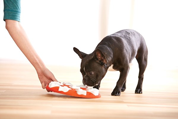 Show full view: Nina Ottosson by Outward Hound Smart Orange Interactive Treat Puzzle Dog Toy slide 8 of 10