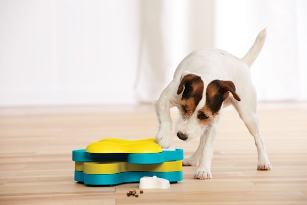 Show full view: Nina Ottosson by Outward Hound Tornado Interactive Treat Puzzle Dog Toy slide 7 of 9