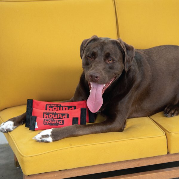 Show full view: Outward Hound Firehose Fetch Plush Dog Toy, Medium slide 5 of 9