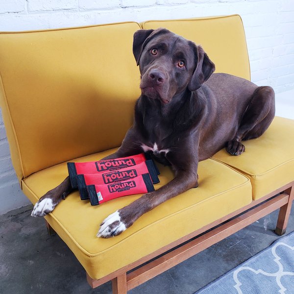 Show full view: Outward Hound Firehose Fetch Plush Dog Toy, Medium slide 6 of 9