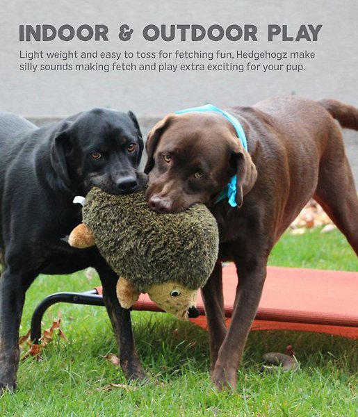 Show full view: Outward Hound Hedgehogz Plush Dog Toy, Small slide 4 of 10