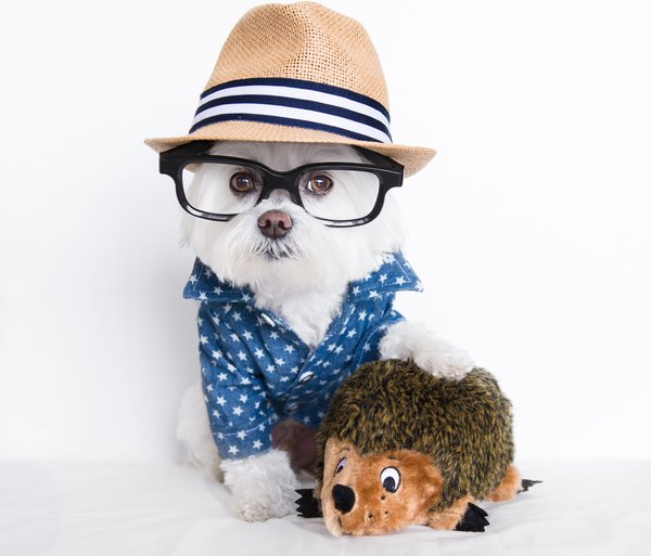 Show full view: Outward Hound Hedgehogz Plush Dog Toy, Small slide 9 of 10