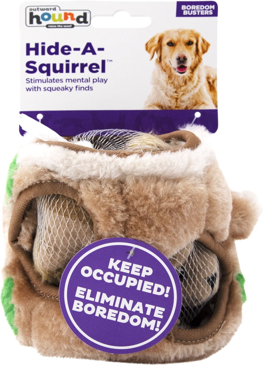 Outward Hound Hide-A-Squirrel Dog Toy