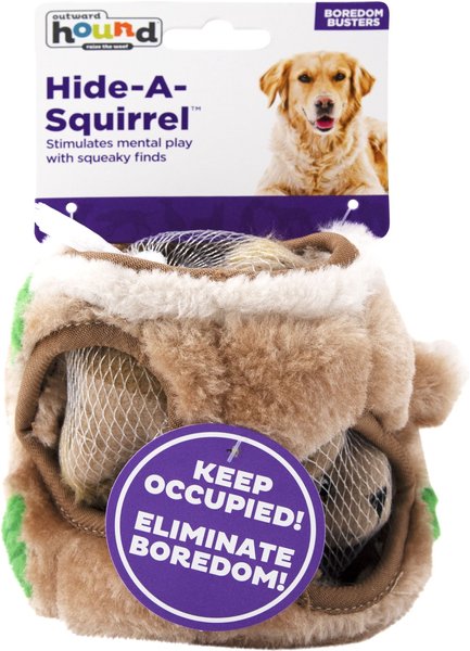 Squirrel Puzzle Plush Dog Toy