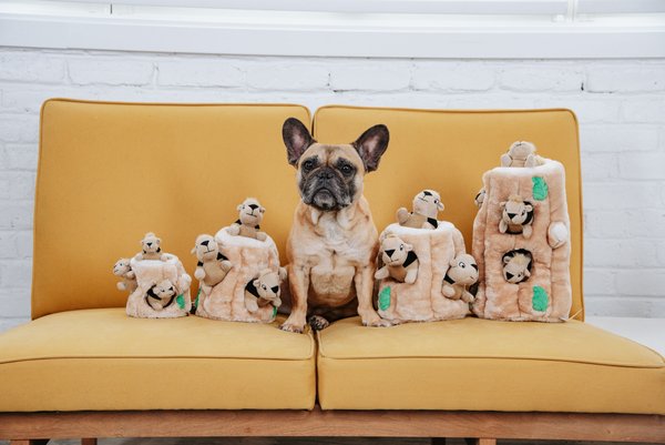 Show full view: Outward Hound Hide A Squirrel Puzzle Plush Dog Toy, Medium slide 9 of 10