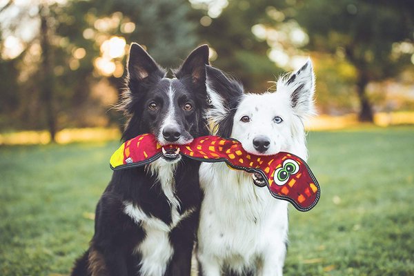 Show full view: Outward Hound Tough Seamz Snake Plush Dog Toy, Large slide 4 of 6