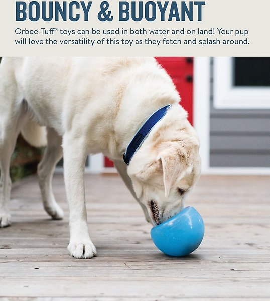 Show full view: Planet Dog Orbee-Tuff Snoop Interactive Treat Dispensing Dog Toy, Blue slide 4 of 8