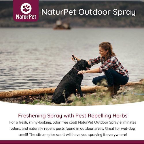 Show full view: NaturPet Outdoor Dog Deodorizer Spray, 240-ml bottle slide 5 of 6