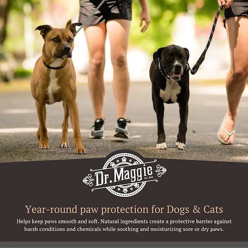 Show full view: Dr. Maggie Paw Protector Cat & Dog Paw Balm, 200-g jar slide 5 of 7