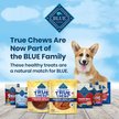 Show in main carousel: Blue Buffalo True Chews Premium Jerky Cuts Chicken Natural Dog Treats, 12-oz bag slide 5 of 6