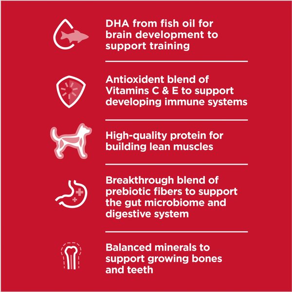 Show full view: Hill's Science Diet Puppy Lamb Meal & Brown Rice Recipe Dry Dog Food, 1.81-kg bag slide 3 of 10