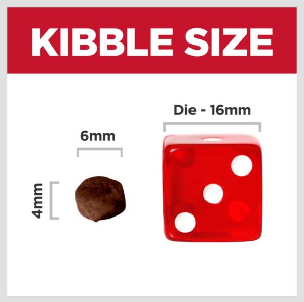 Show full view: Hill's Science Diet Kitten Dry Ocean Fish & Brown Rice Recipe Dry Cat Food, 1.58-kg bag slide 3 of 10