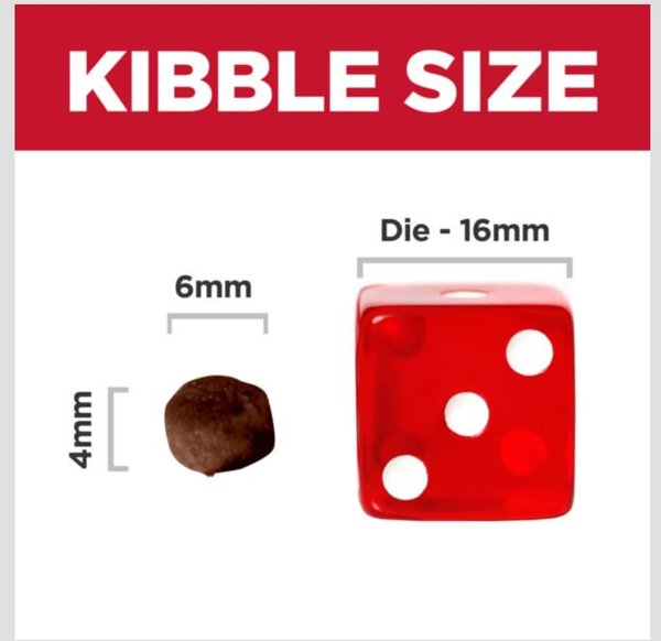 Show full view: Hill's Science Diet Kitten Dry Ocean Fish & Brown Rice Recipe Dry Cat Food, 3.17-kg bag slide 3 of 10