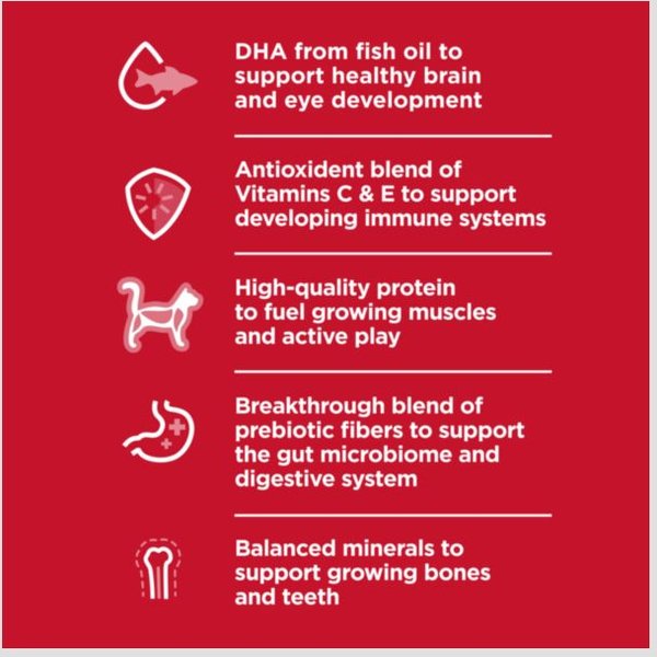 Show full view: Hill's Science Diet Kitten Dry Ocean Fish & Brown Rice Recipe Dry Cat Food, 3.17-kg bag slide 4 of 10