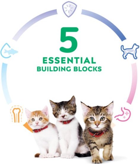 Show full view: Hill's Science Diet Kitten Dry Ocean Fish & Brown Rice Recipe Dry Cat Food, 3.17-kg bag slide 6 of 10