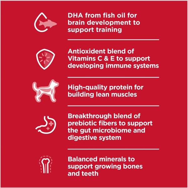 Show full view: Hill's Science Diet Puppy Chicken & Rice Stew Recipe Wet Dog Food, 12.5-oz can, case of 12 slide 3 of 10